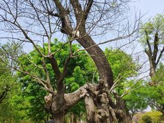 -南通洲际绿博园