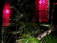 -花马天堂云南餐厅 Lost Heaven(高邮路店)