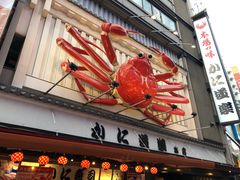 -蟹道乐(道顿堀本店)