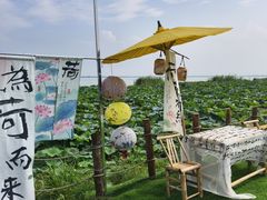 -七的湖·晚芳亭·阳澄湖农家菜·大闸蟹(莲花岛店)