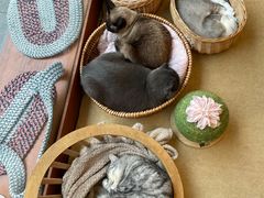 -猫友咖啡店(玉林西路店)