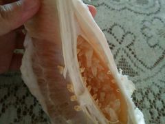 -柯剑飞超级水果批发中心(东港店)