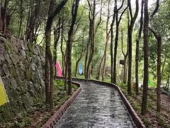 -黄山翡翠谷景区