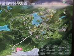 -深圳仙湖植物园