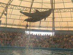 -尼莫海豚馆