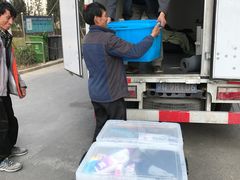 -骆驼日式搬家收纳整理