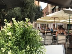 -瓦伦西亚大教堂