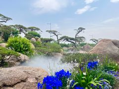 -罗红摄影艺术馆