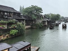-乌镇西栅景区
