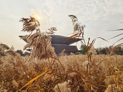 -白洋淀景区