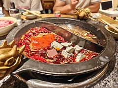 -蜀大侠火锅(建设路第五大道店)