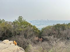 -灵岩山风景区
