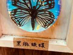 -正佳雨林生态植物园