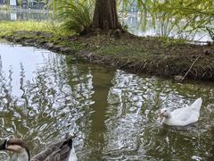 -浙江农林大学(东湖校区)