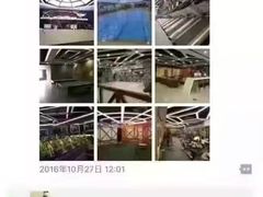 -金吉鸟健身游泳