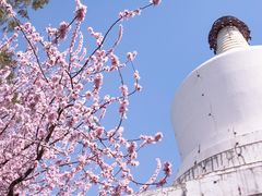 -北海公园