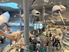 -国家自然博物馆