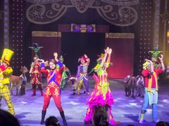 -珠海横琴长隆《卡卡虎奇遇记》