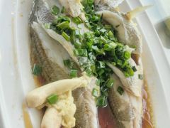 -魚當家