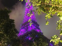 -澳门喜来登大酒店