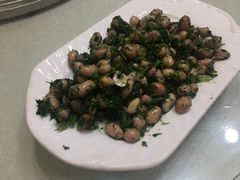 茴香花生米-火娃菜馆(新岭花园1期店)