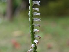 -福田红树林生态公园