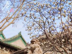 -恭王府博物馆