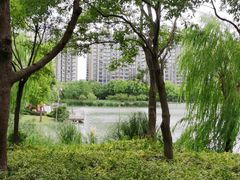 -南翔镇银翔湖公园