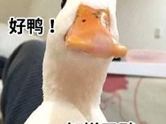 -博纳UA影城(KK Mall IMAX店)