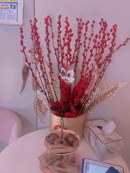 -苑苑vbeauty科技美容SPA
