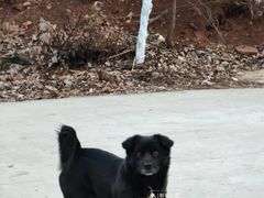 -南京金牛湖风景区