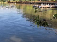 -西昌邛海湿地-月亮湾景区