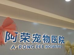 -阿荣24H宠物医院·综合型转诊中心·CT·核磁影像中心