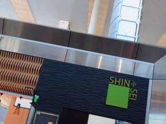 -达拉斯 沃斯堡国际机场