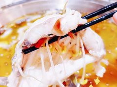 -麻小度青花椒鱼蛙火锅