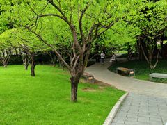 -西湖公园(鼓楼区)