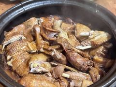 -百家春好德来姜母鸭