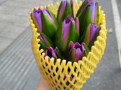 -循礼门鲜花花市(武汉循礼门店)