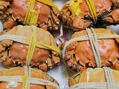 -阳澄湖大闸蟹·琼灵阁牌品牌连锁(吴中总店)