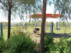 -呼兰河口湿地公园