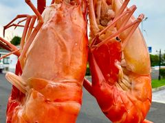 -品鲜村农家菜·阳澄湖大闸蟹(总店)