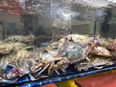 -金海湾海鲜排档(朱家尖店)