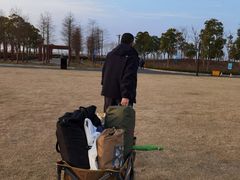 -春花秋色城市公园