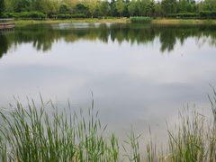 -永定河休闲森林公园