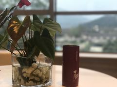 -都江堰中心国际酒店