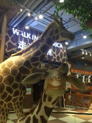 -鲁比猴非洲探索部落(喜盈门店)