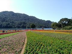 -广州市石门国家森林公园
