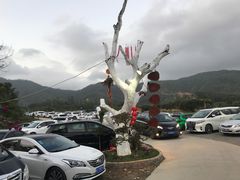 -水磨农庄