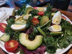 -百好乐宠物友好餐厅(朝外大街店)