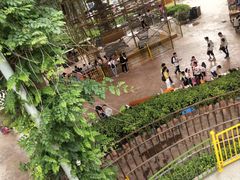 游乐设施-杭州乐园